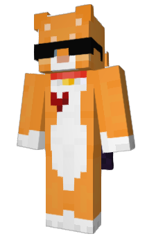Minecraft skin Rewardins
