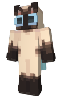 Minecraft скін по ніку Riedom