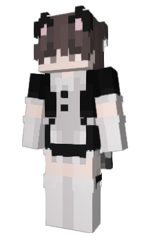 Minecraft skin Rondier