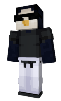 Minecraft skin SC_8763