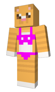 Minecraft скін по ніку SDup