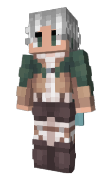 Minecraft skin SSimple