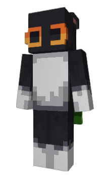 Minecraft скін по ніку Seledka