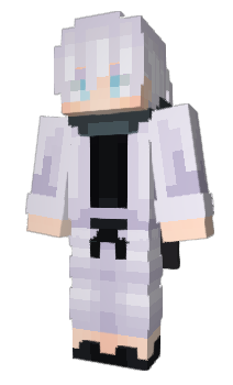 Minecraft skin SennyT