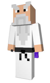 Minecraft skin ShifuLovesSchool