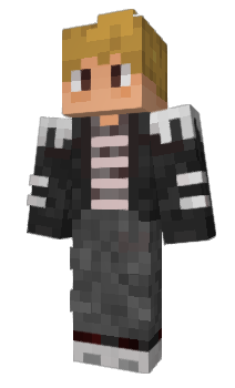 Minecraft skin SolidarityGaming