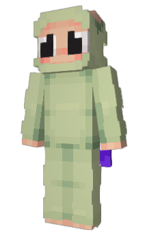 Minecraft skin Solteiro