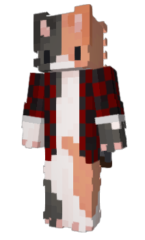 Minecraft скін по ніку Suntz