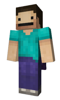 Minecraft skin Svaezi
