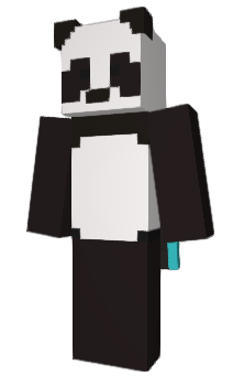 Minecraft скин по нику TSLR