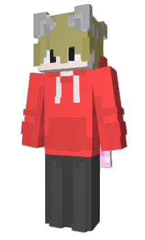 Minecraft skin Technet