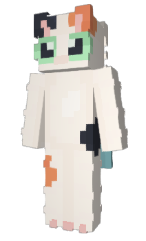 Minecraft skin TooKong