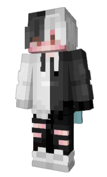 Minecraft skin U3164