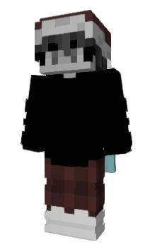 Minecraft skin Valids