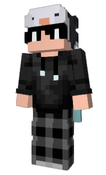 Minecraft skin VanBresson