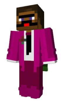 Minecraft skin VeriSure