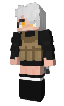 Minecraft скін по ніку Vermey