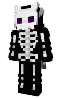 Minecraft skin Vijl