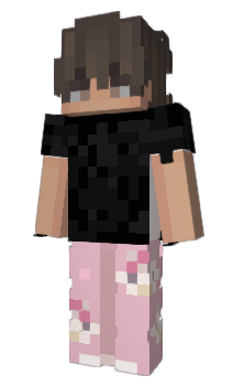 Minecraft skin Vsks