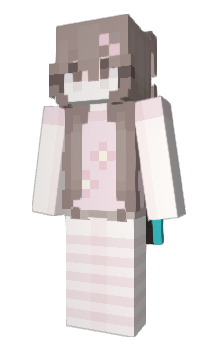 Minecraft skin Vulva