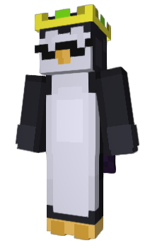 Minecraft skin W1111amL