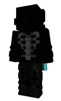 Minecraft скин по нику WakacyjnyMood_