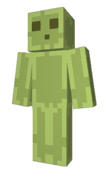 Minecraft skin WiFi6