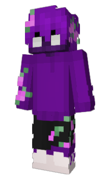 Minecraft skin X11V