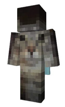 Minecraft скін по ніку Z_1_