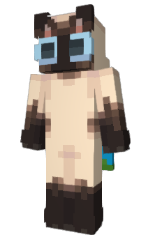 Minecraft скін по ніку _CatXP