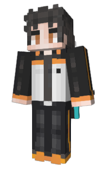 Minecraft skin _NinGenShikKaku_