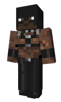 Minecraft skin _ZYZ