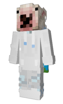 Minecraft skin _Zyloh