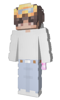 Minecraft skin aggeju