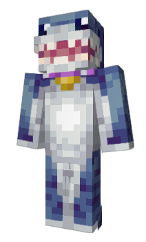 Minecraft skin akVz
