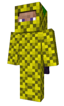 Minecraft skin amillet