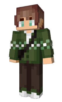 Minecraft skin bingohe