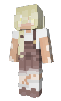 Minecraft skin bingohe