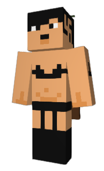 Minecraft скін по ніку bobroswin0014
