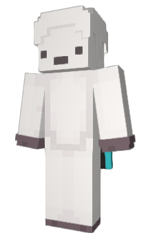 Minecraft skin bruserx201