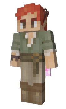 Minecraft skin burrsh