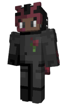 Minecraft skin bwni