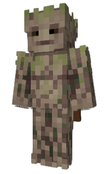 Minecraft skin cammrn