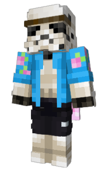 Minecraft skin cheapso