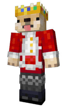 Minecraft skin dmmaor