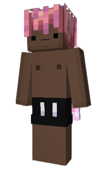 Minecraft skin dmtx_