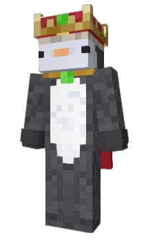 Minecraft skin dvasn