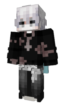 Minecraft skin echotic