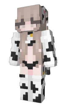 Minecraft skin fardamogus