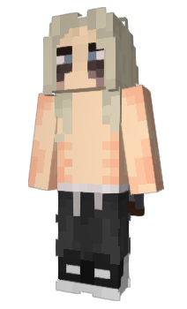 Minecraft skin fentrip